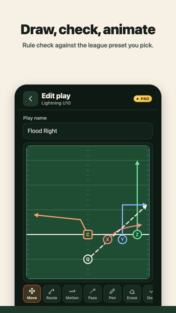 Draw, check and animate a play